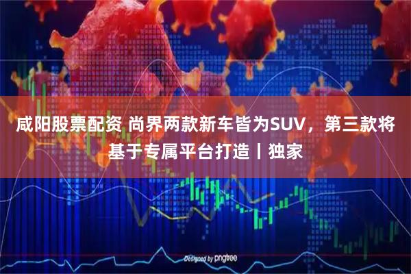 咸阳股票配资 尚界两款新车皆为SUV，第三款将基于专属平台打造丨独家